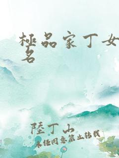 极品家丁女主排名