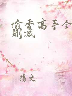 偷香高手全文无删减