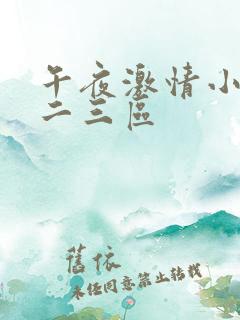 午夜激情小说一二三区