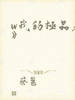 w我的极品老婆》