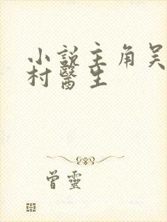 小说主角吴能山村医生