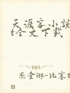 天涯客小说txt全文下载
