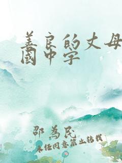 善良的丈母娘韩国中字