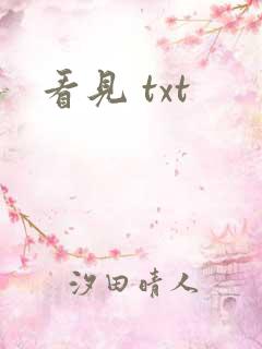 看见 txt
