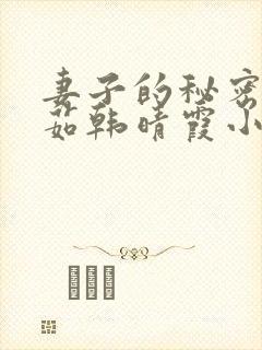 妻子的秘密林雅茹韩晴霞小说免费阅读