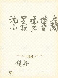 沈星晚傅夜霆的小说免费阅读