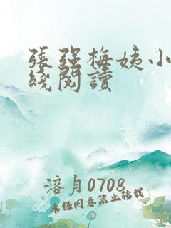 张强梅姨小说在线阅读