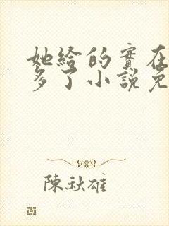 她给的实在是太多了小说免费阅读