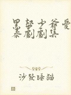 黑帮少爷爱上我泰剧剧集