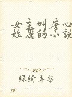 女主叫唐心男主姓厉的小说