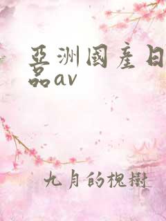 亚洲国产日韩精品av