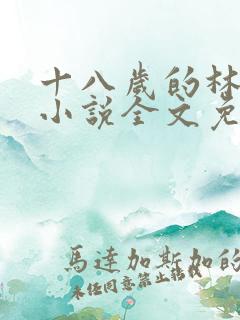 十八岁的林晓飞小说全文免费阅读