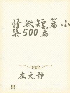 情欲短篇小说合集500篇
