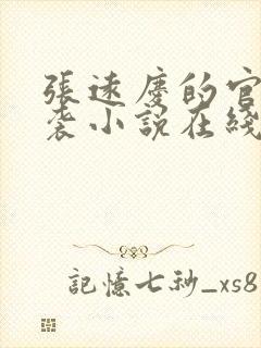 张远庆的官场逆袭小说在线阅读全文