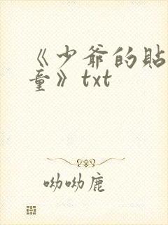 《少爷的贴身书童》txt