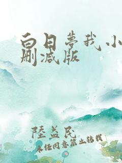 白日梦我小说无删减版