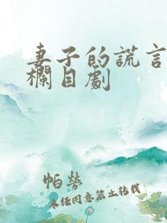 妻子的谎言普法栏目剧