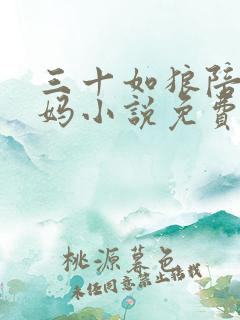 三十如狼陪读妈妈小说免费阅读