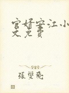 官婿安江小说全文免费
