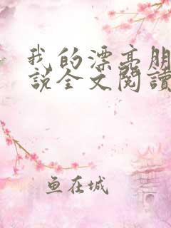 我的漂亮朋友小说全文阅读