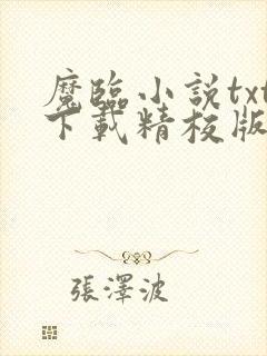 魔临小说txt下载精校版
