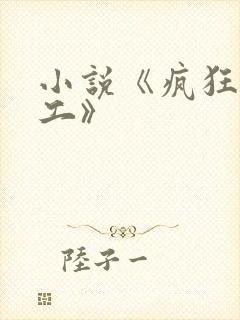 小说《疯狂农民工》