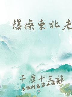 爆操东北老女人