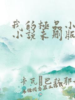 我的极品小姨 小说未删版全文
