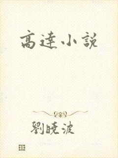 高达小说