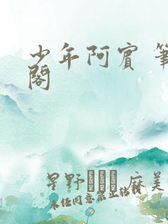 少年阿宾 笔趣阁
