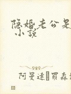 隐婚老公是大佬 小说