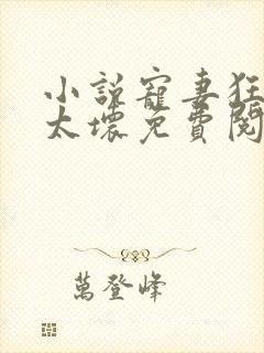 小说宠妻狂魔别太坏免费阅读