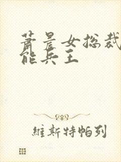 萧晨女总裁的全能兵王