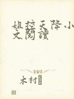 姐控天降小说全文阅读