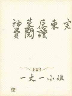 神墓辰东完本免费阅读