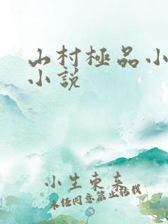 山村极品小农民小说