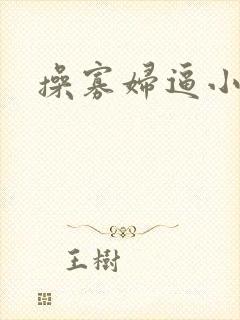 操寡妇逼小说