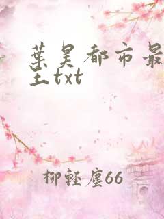 叶昊都市最强兵王txt