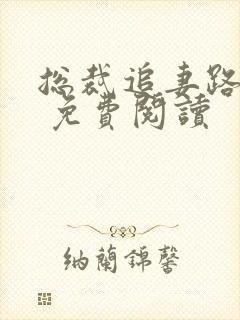 总裁追妻路漫漫 免费阅读