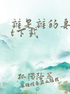 谁是谁的妻txt下载