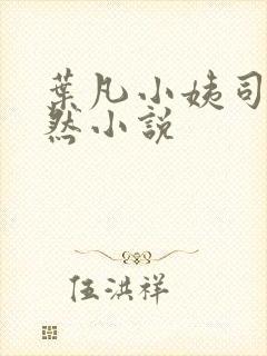 叶凡小姨司空嫣然小说