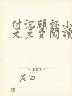 付沉顾轻小说全文免费阅读