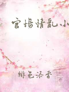 官场情乱小说