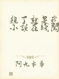 亲了就是我媳妇小说在线阅读全文免费