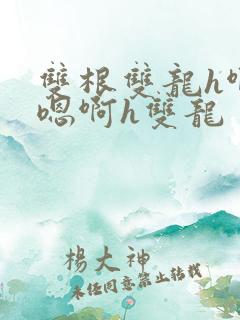 双根双龙h啊～嗯啊h双龙