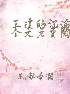 王琼的沉沦小说全文免费阅读