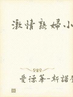 激情熟妇小说