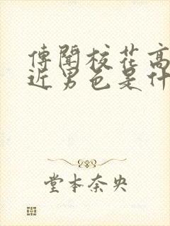 传闻校花高冷不近男色是什么小说
