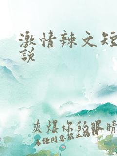 激情辣文短篇小说