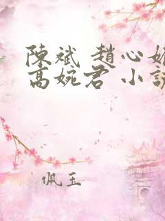 陈斌 赵心媚 高婉君 小说